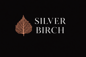 Silver birch